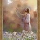 Prince of Peace