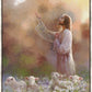 Prince of Peace