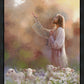 Prince of Peace
