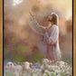 Prince of Peace