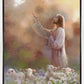 Prince of Peace