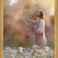 Prince of Peace