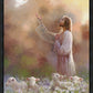 Prince of Peace