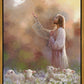 Prince of Peace