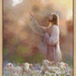 Prince of Peace