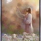 Prince of Peace