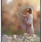 Prince of Peace