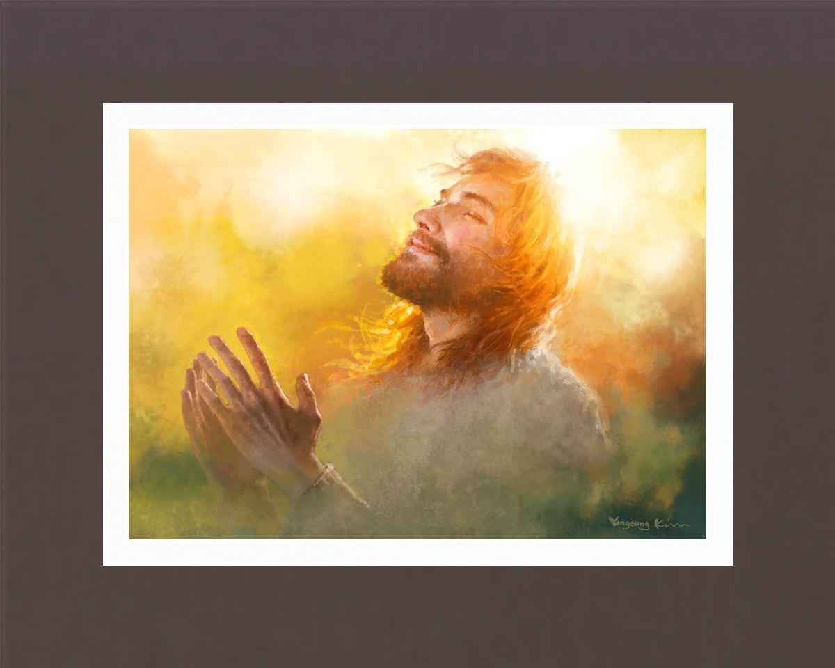 A Perfect Peace
