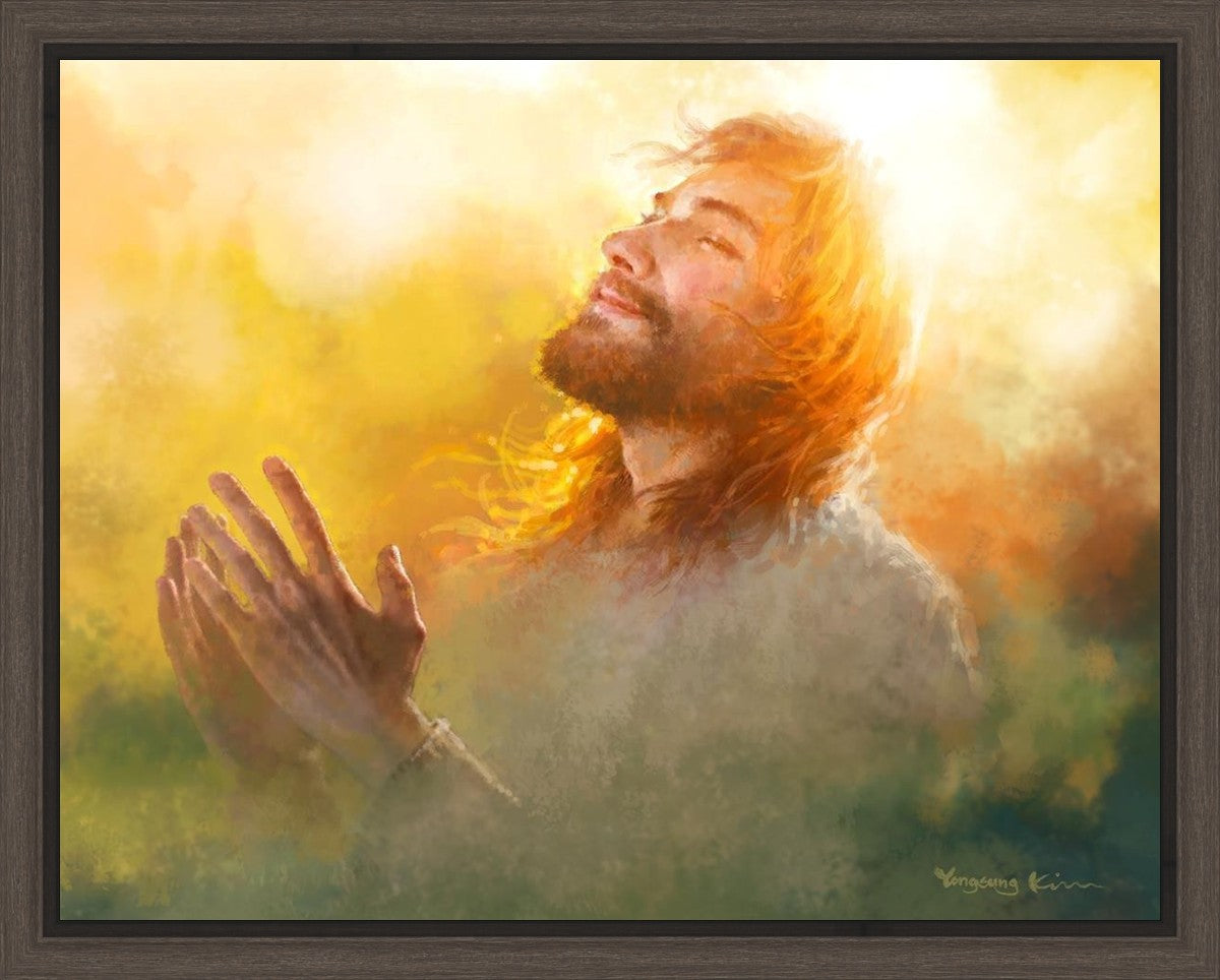 A Perfect Peace