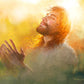 A Perfect Peace