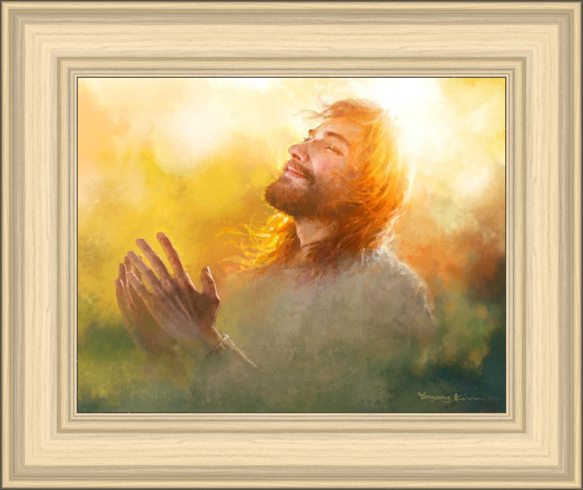 A Perfect Peace