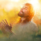 A Perfect Peace