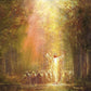 Heaven's Glow