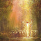 Heaven's Glow