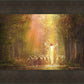 Heaven's Glow
