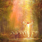 Heaven's Glow