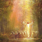 Heaven's Glow