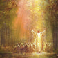 Heaven's Glow