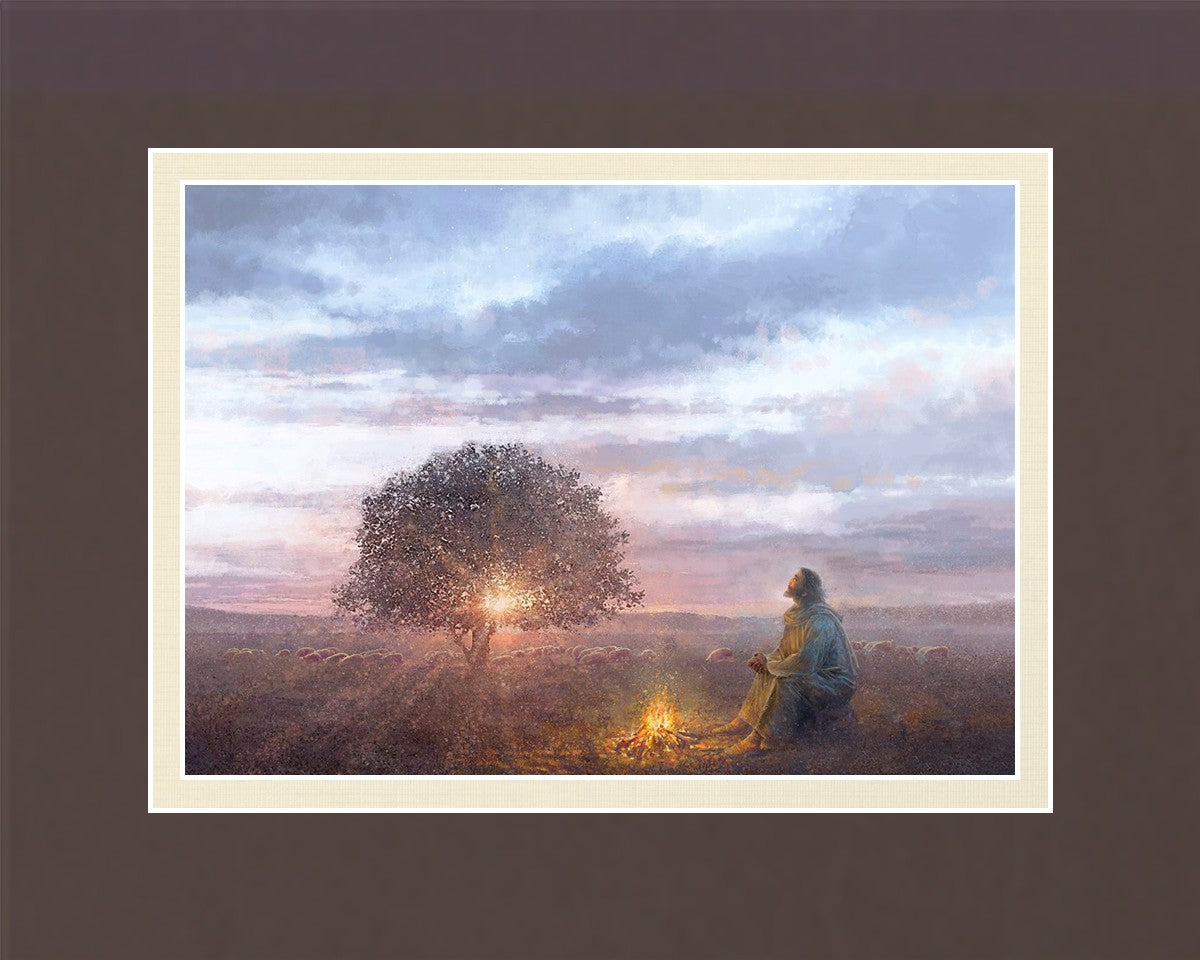 The Light of Life