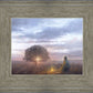 The Light of Life