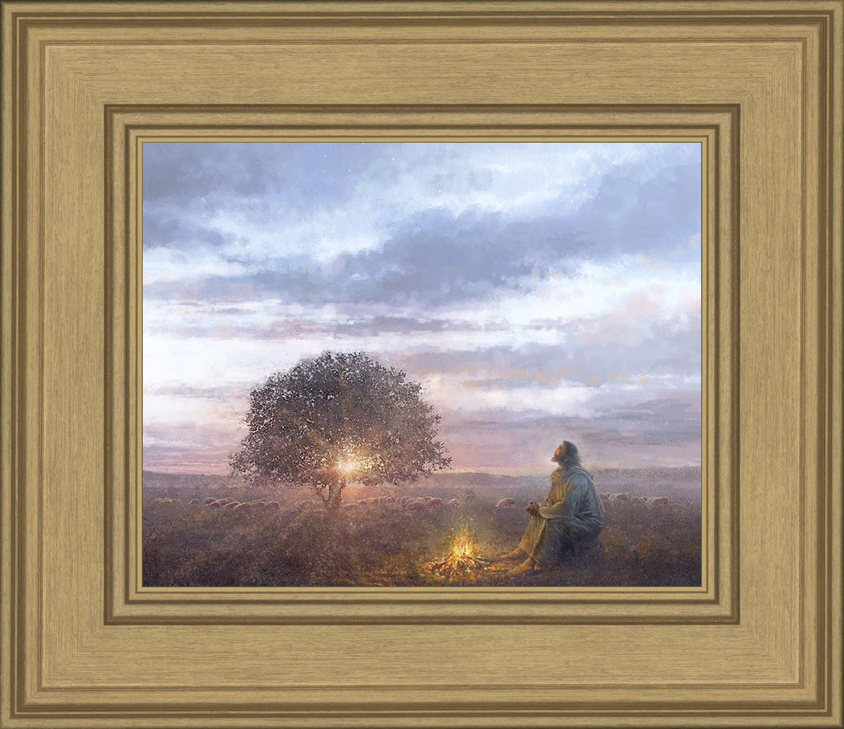 The Light of Life