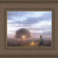 The Light of Life
