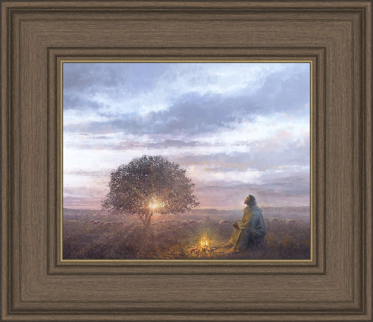 The Light of Life