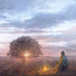 The Light of Life
