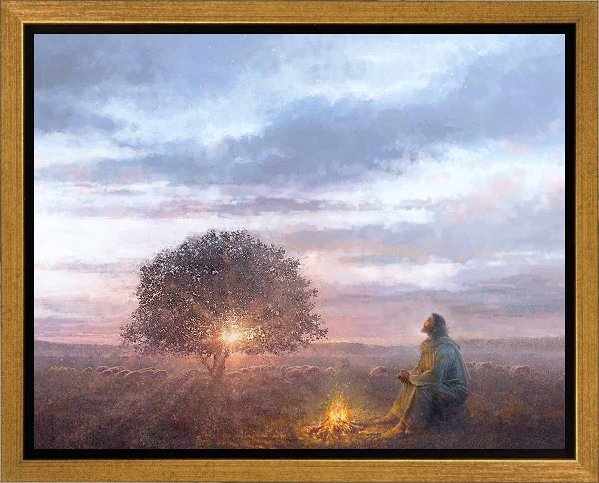 The Light of Life