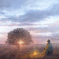 The Light of Life