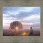 The Light of Life