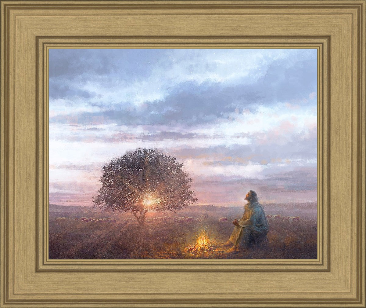 The Light of Life