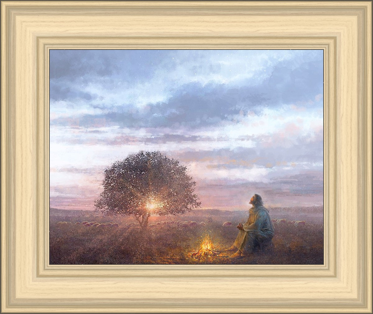 The Light of Life