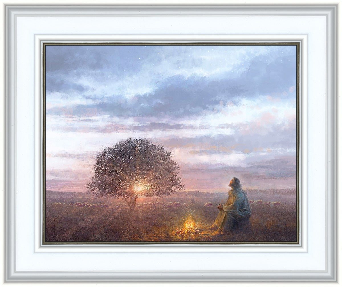 The Light of Life