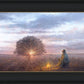 The Light of Life