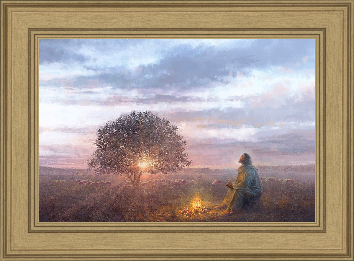 The Light of Life