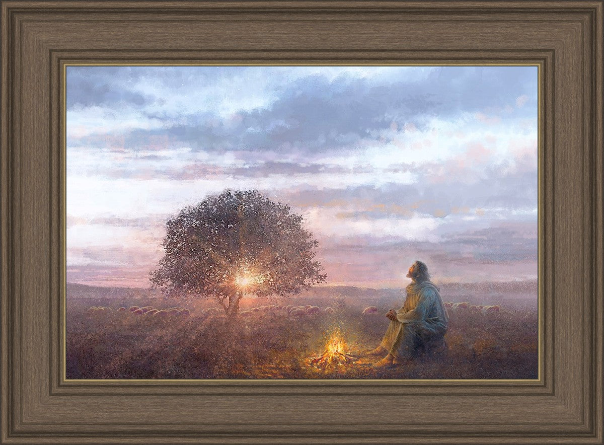 The Light of Life