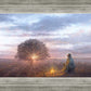 The Light of Life