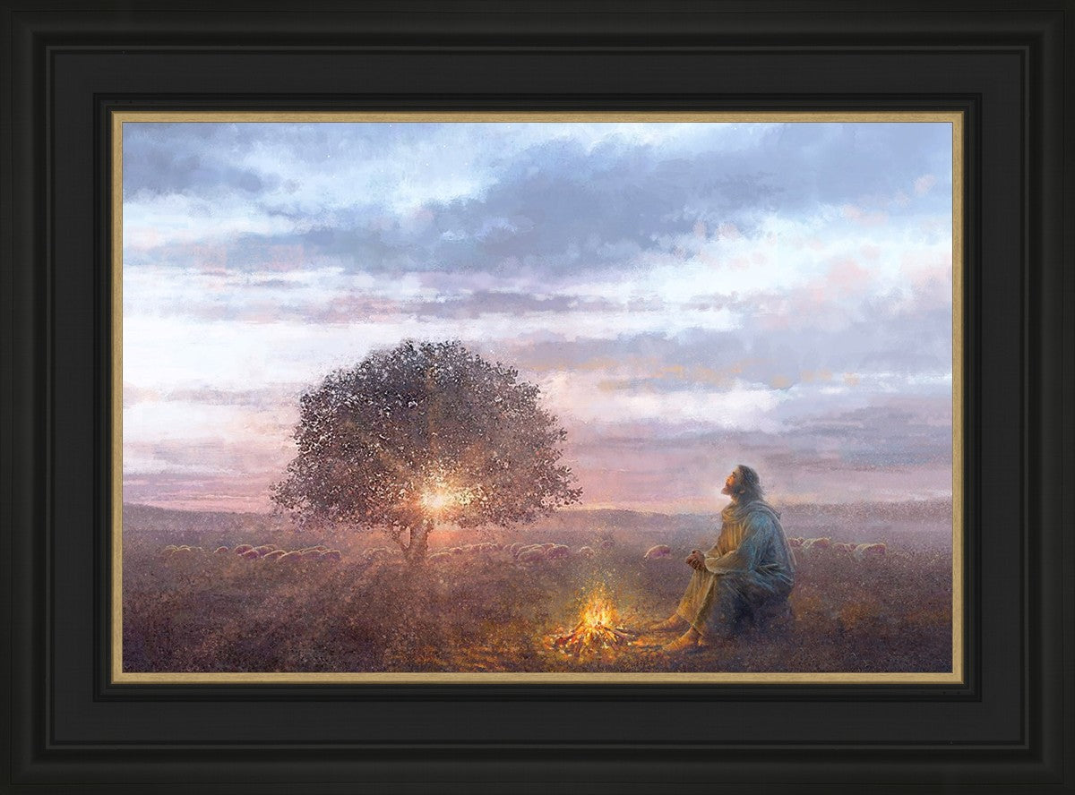 The Light of Life