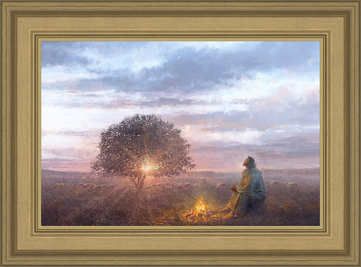 The Light of Life