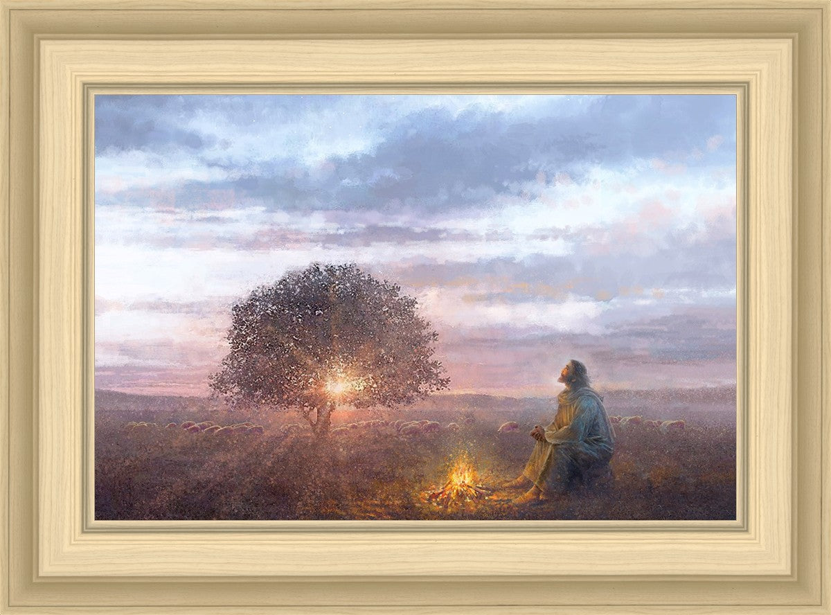 The Light of Life