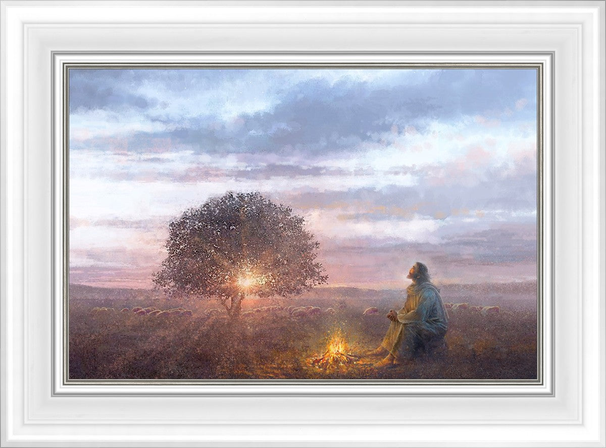 The Light of Life