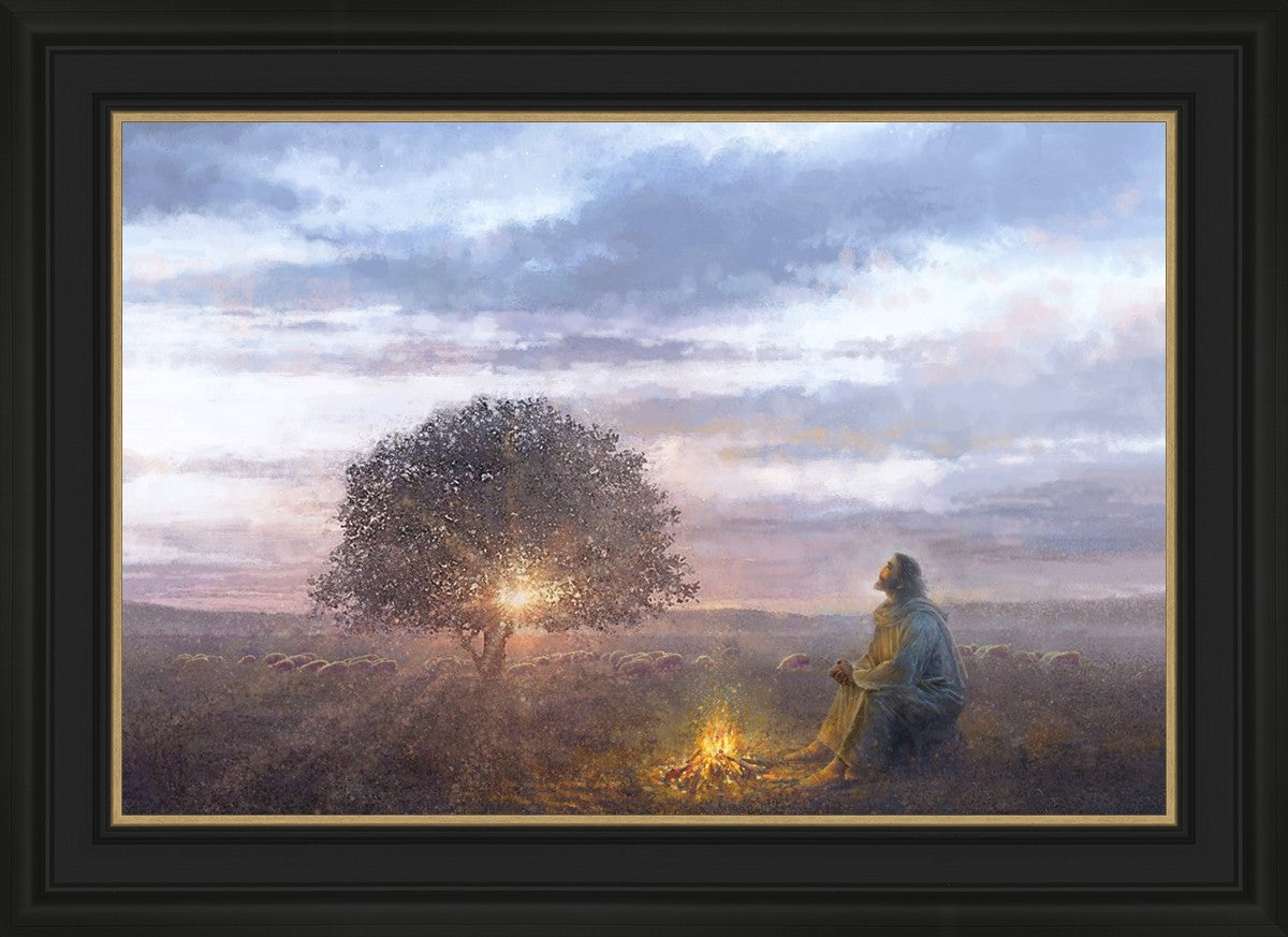 The Light of Life