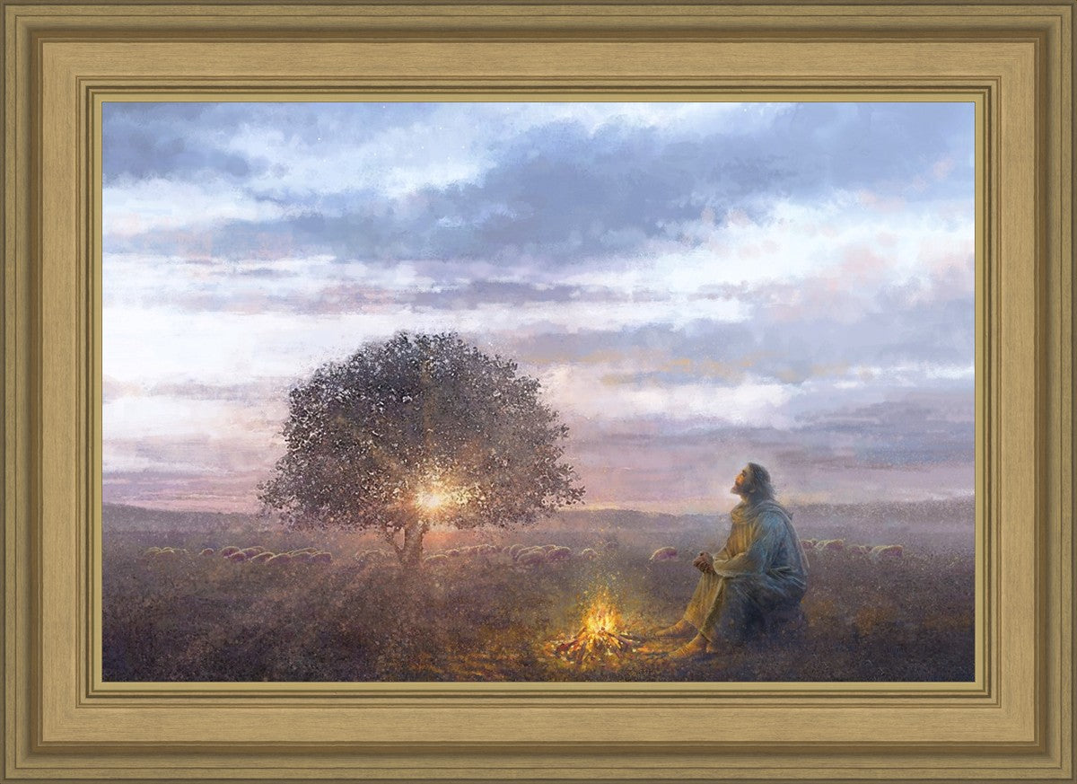 The Light of Life