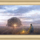 The Light of Life