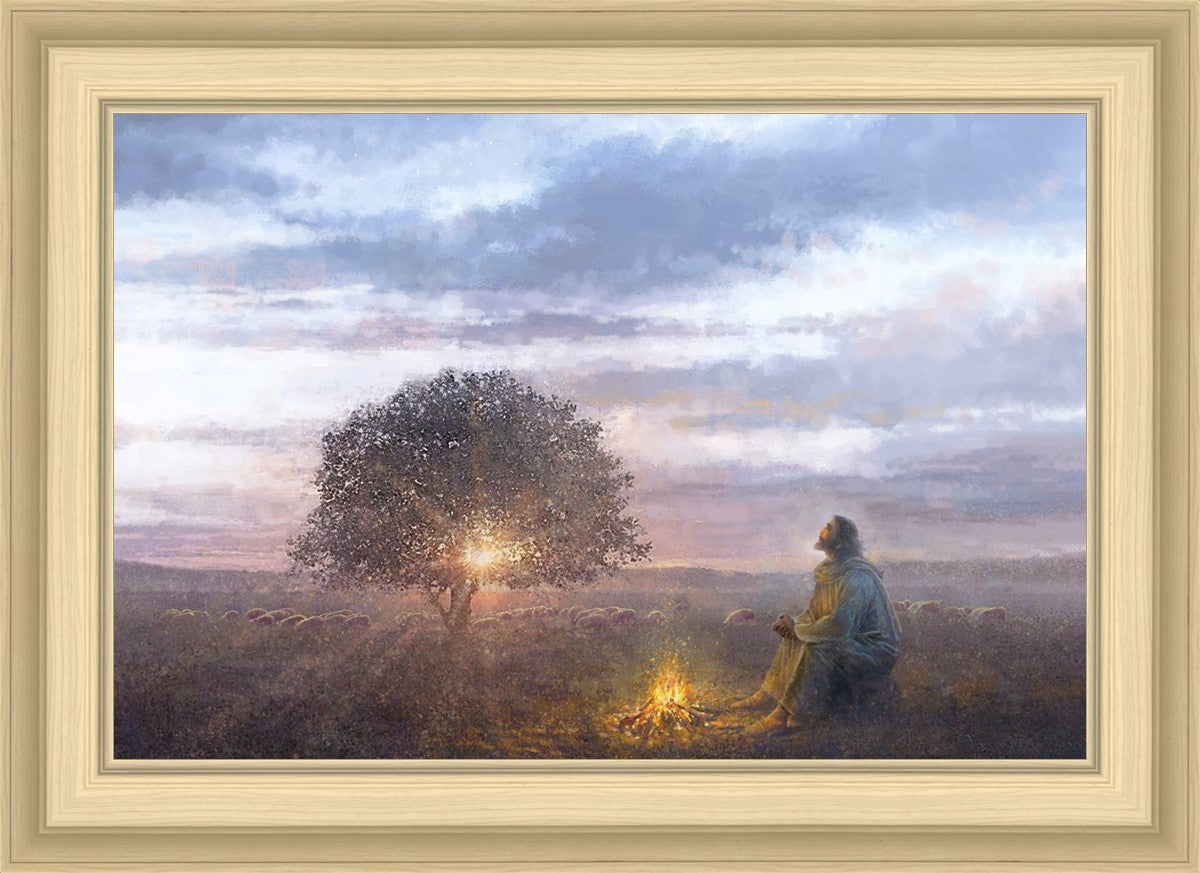 The Light of Life