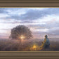The Light of Life