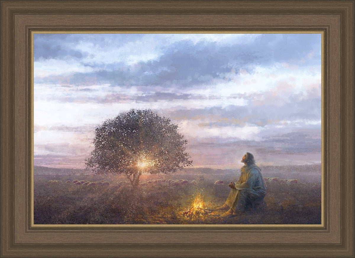 The Light of Life