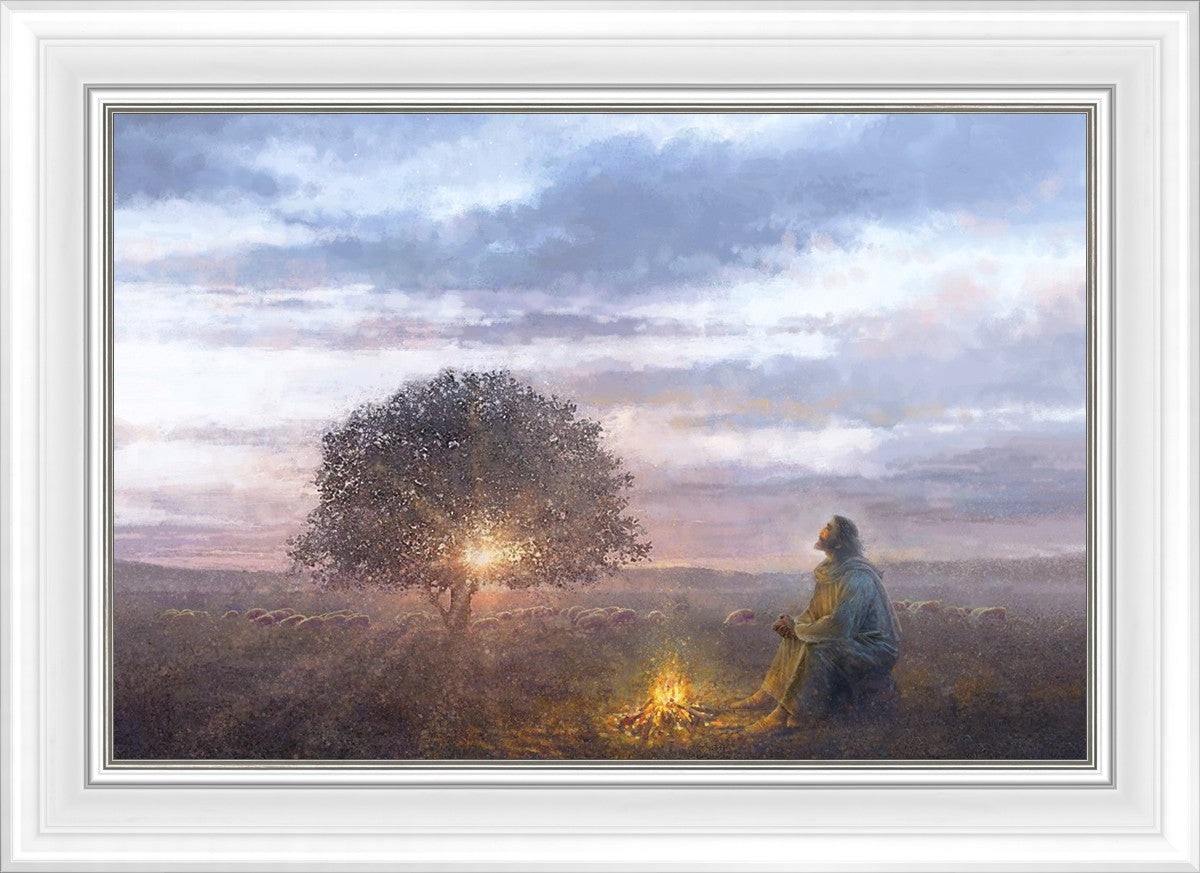 The Light of Life
