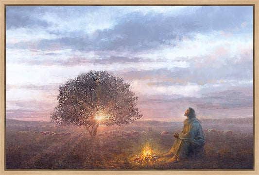 The Light of Life